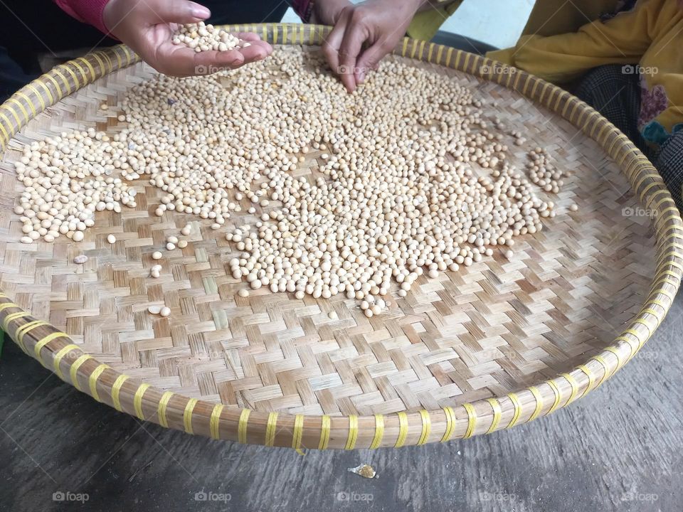 Soybean is a type of legume that is the basic ingredient of many foods from East Asia such as milk, soy sauce, tofu, and tempeh.