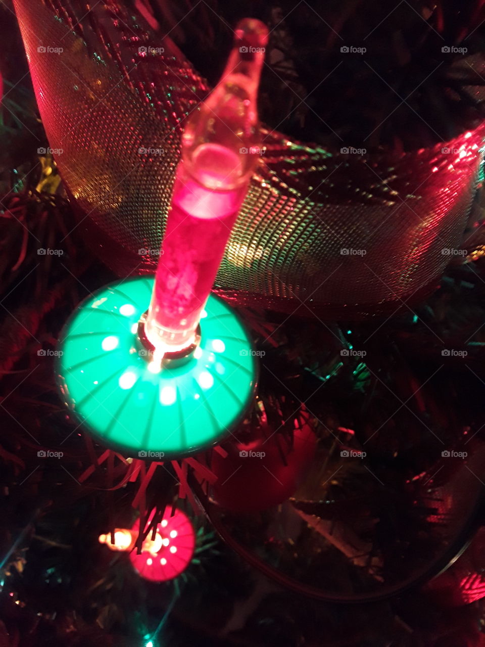 Bubble Light In Tree