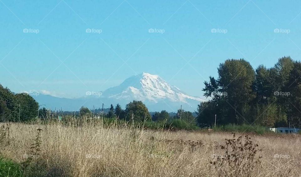 mt rainier. mt rainier