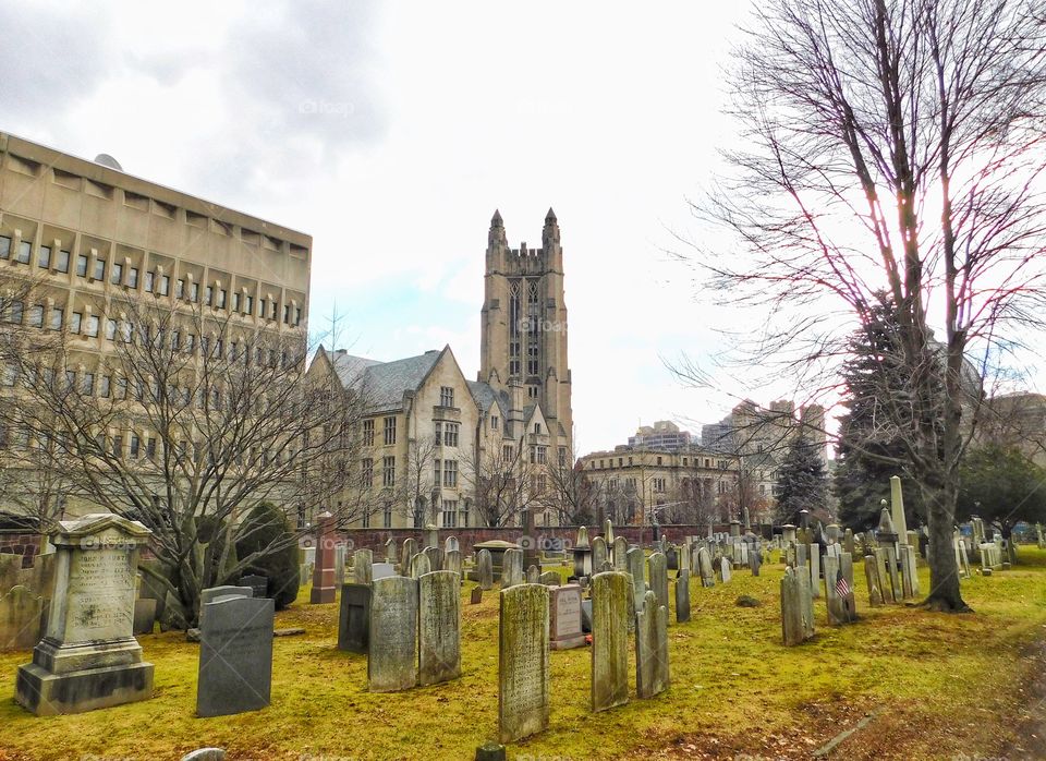 Grove Street Cemetery 