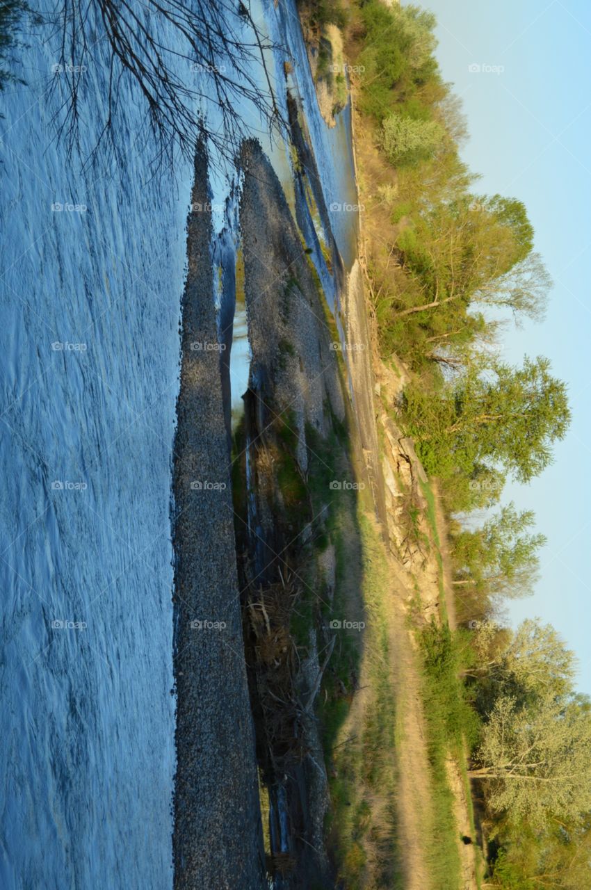 river and forest