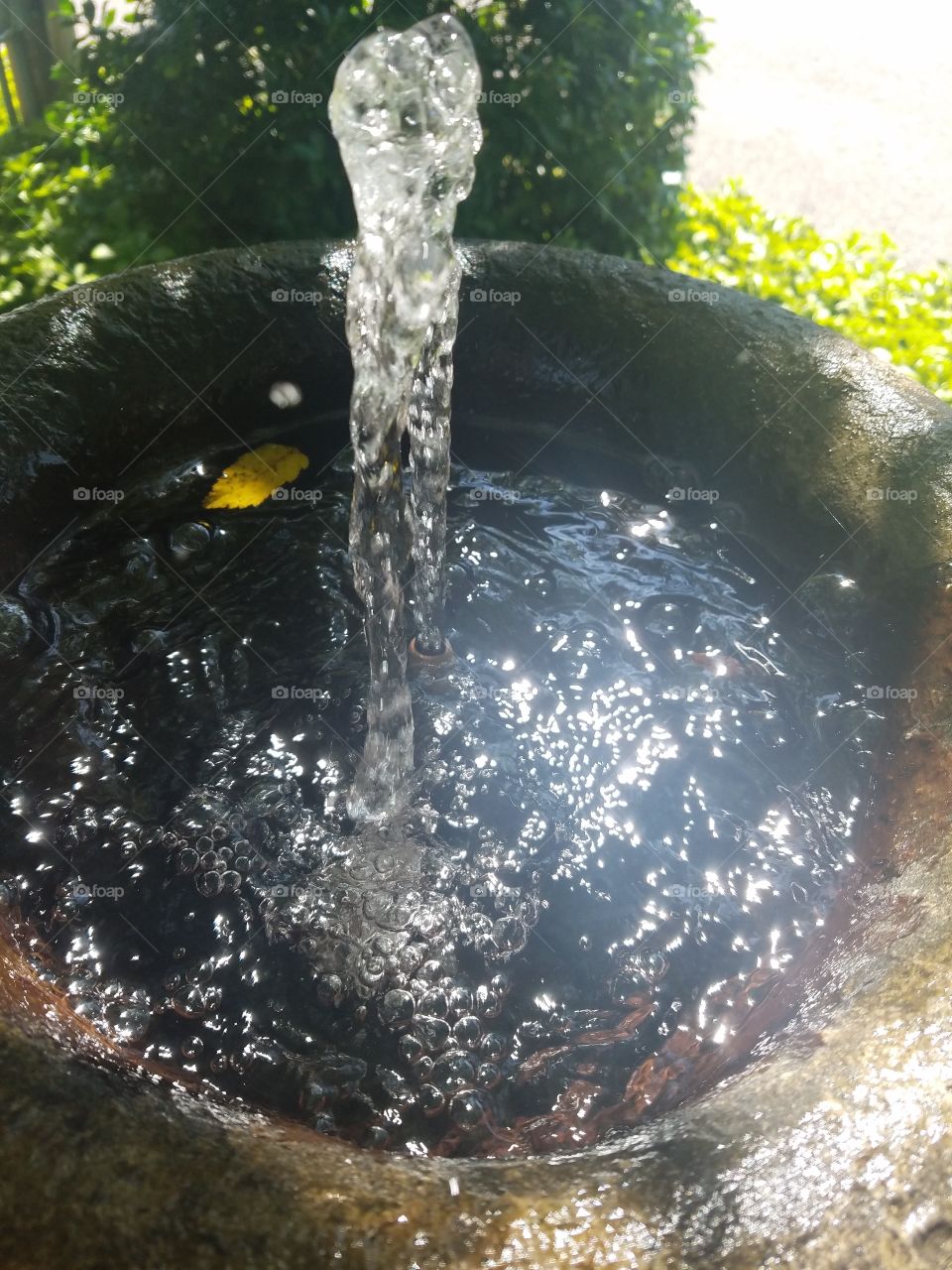 Water Fountain at Hicks Nurseries on Long Island, NY: September 2017