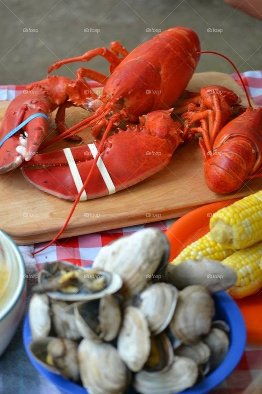 Lobstah Feed