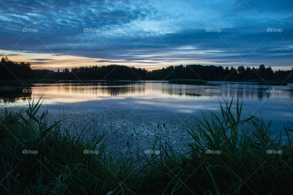 Blue summer morning. Summer. Lake. Sunrise.