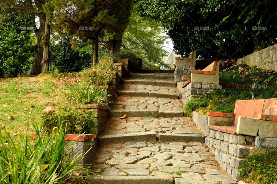 rectangular stone street of a park