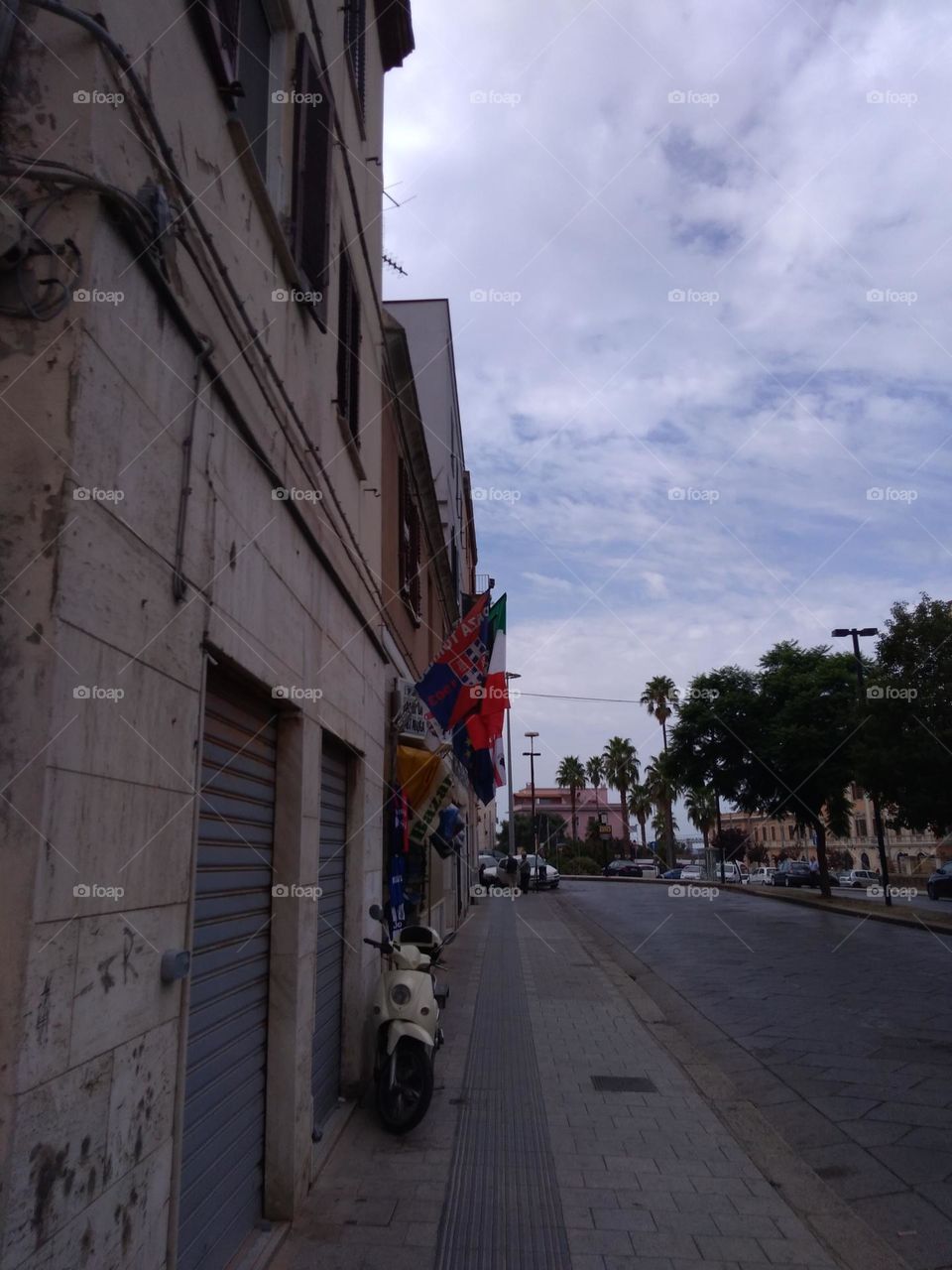 Editors' Choice: Photo of the Week