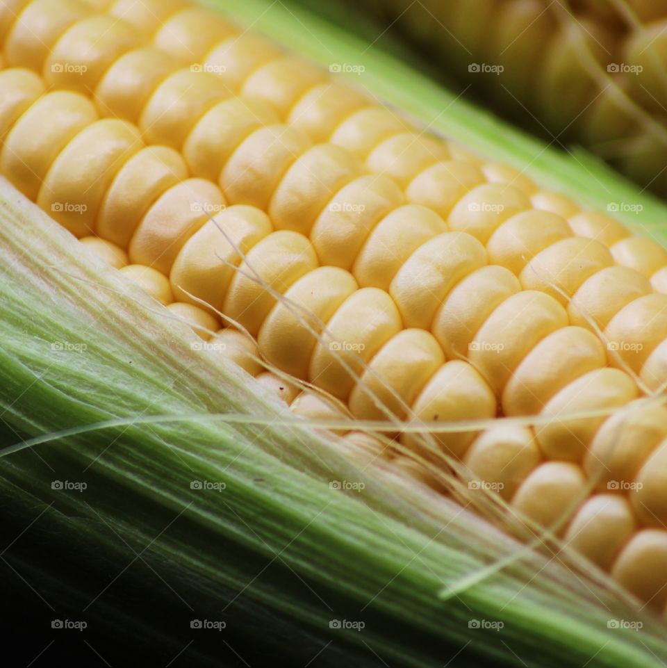 Corn 