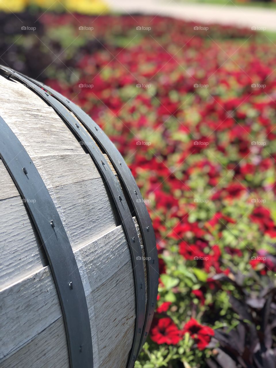 Garden barrel in a summer garden