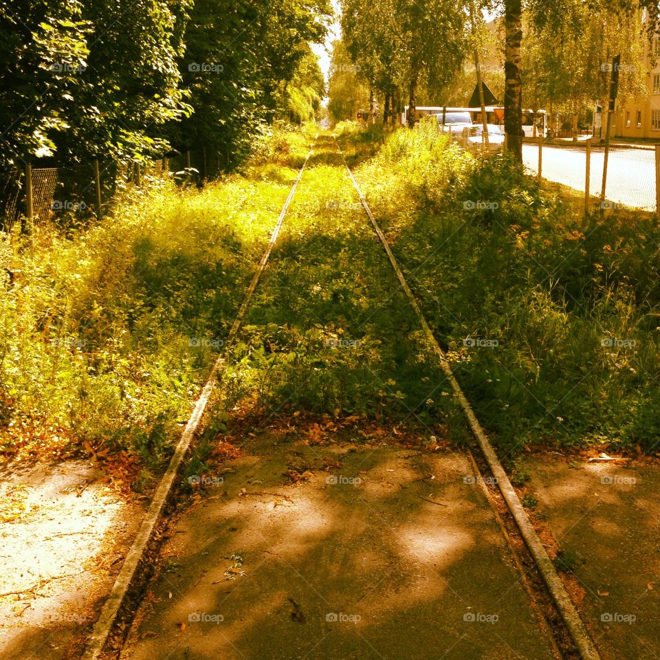 Train rails in bloom. This photo was taken in Falun, Sweden. I think the leaves and grass take over the track in a beautiful way. 