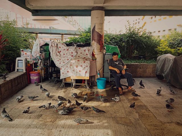 Feral pigeons and people harmoniously share the same place to rest.