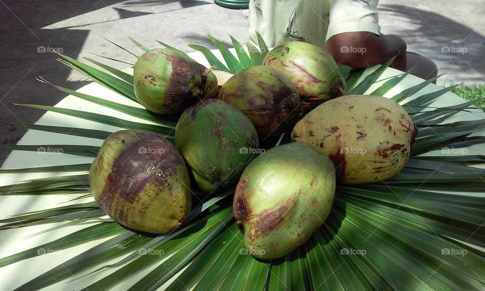 crazy coconuts