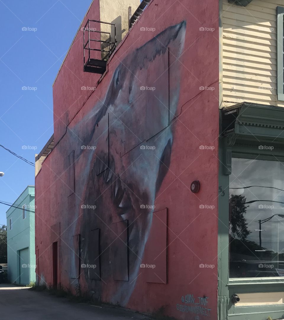 A mural of a shark on the wall of a store