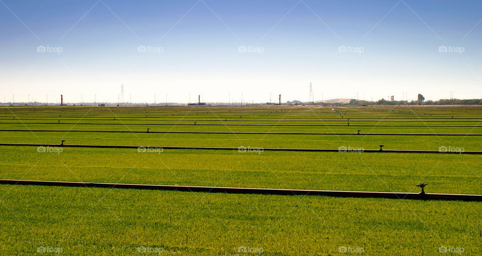landscape sky green field by hlehnerer