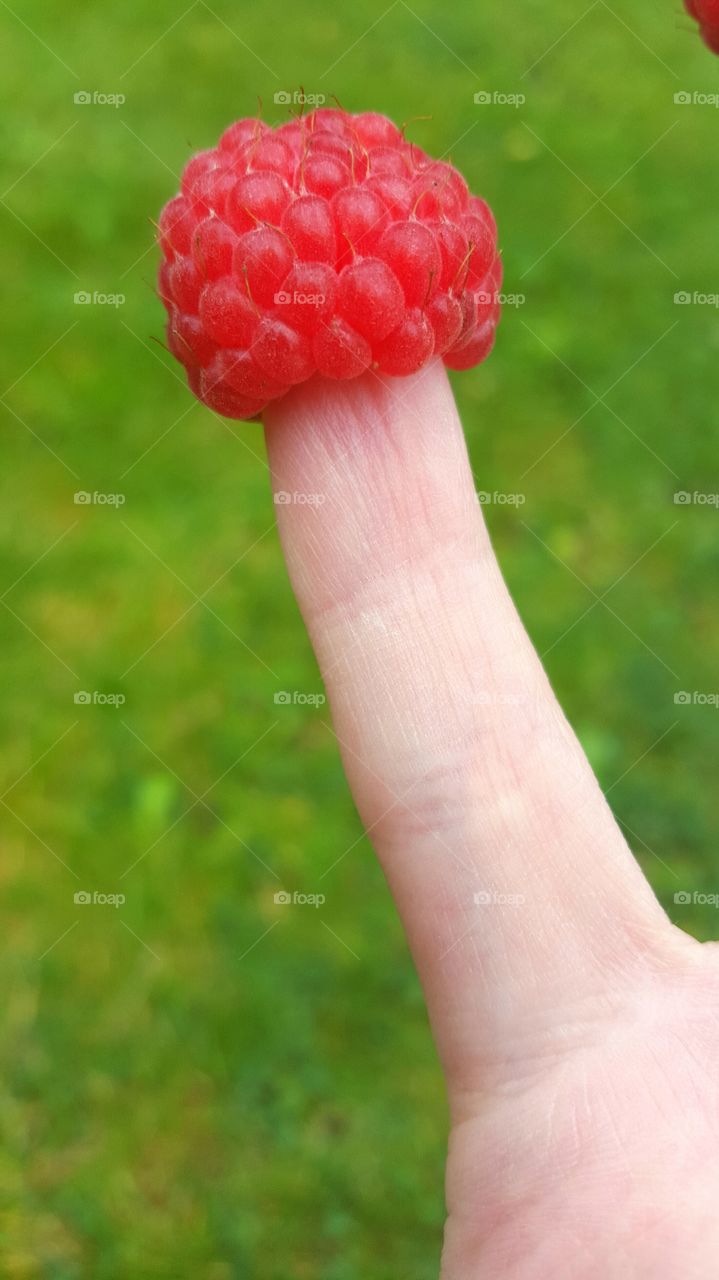 Raspberry finger
