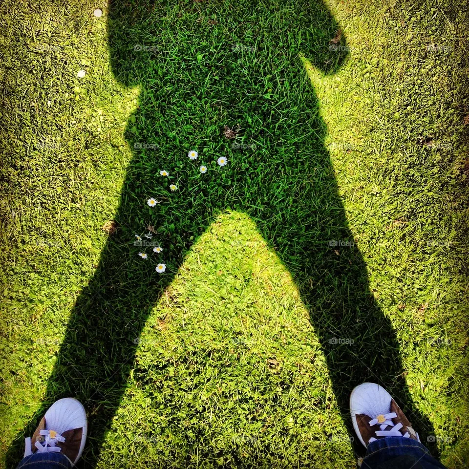 Shadow