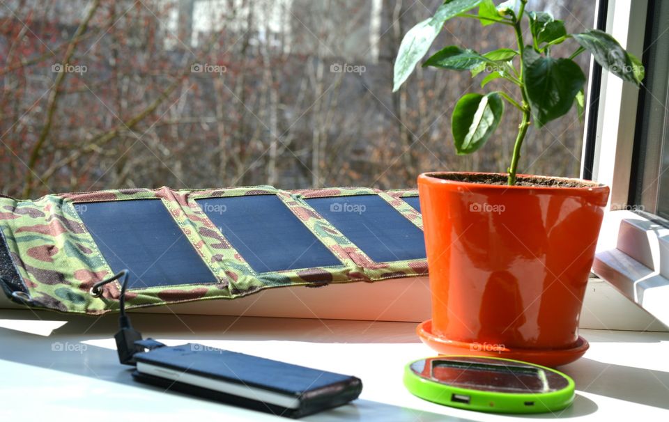 Leaf, No Person, Laptop, Table, Computer