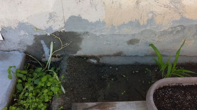 Damaged and unevenly patched stucco exterior wall surface of a house.