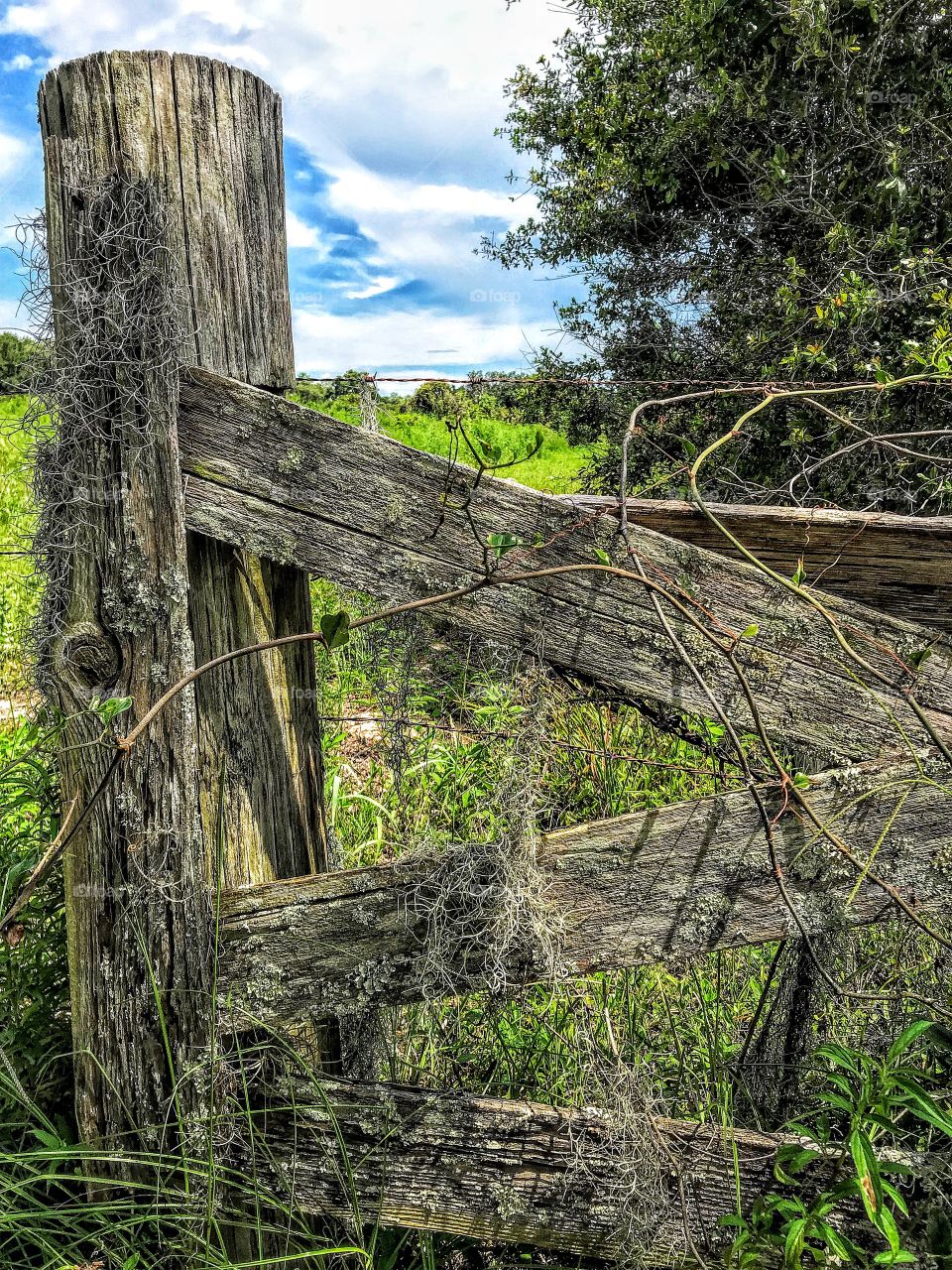 Roadside fence