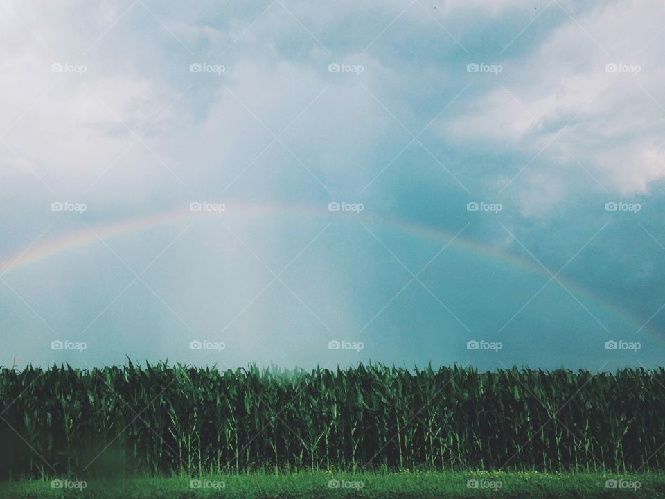 Rainbow Bright. A rainbow appears in central Ohio