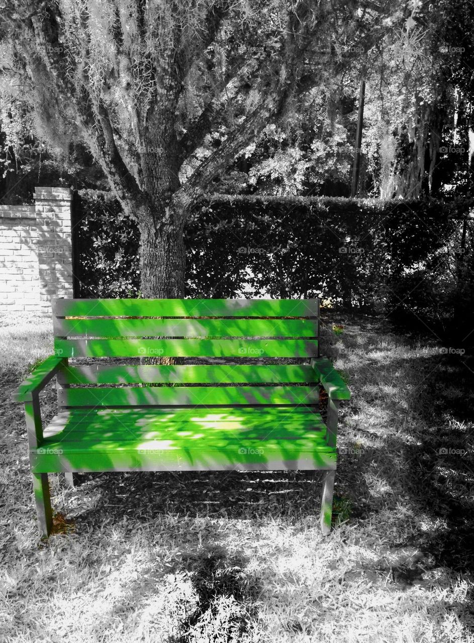 Green park bench