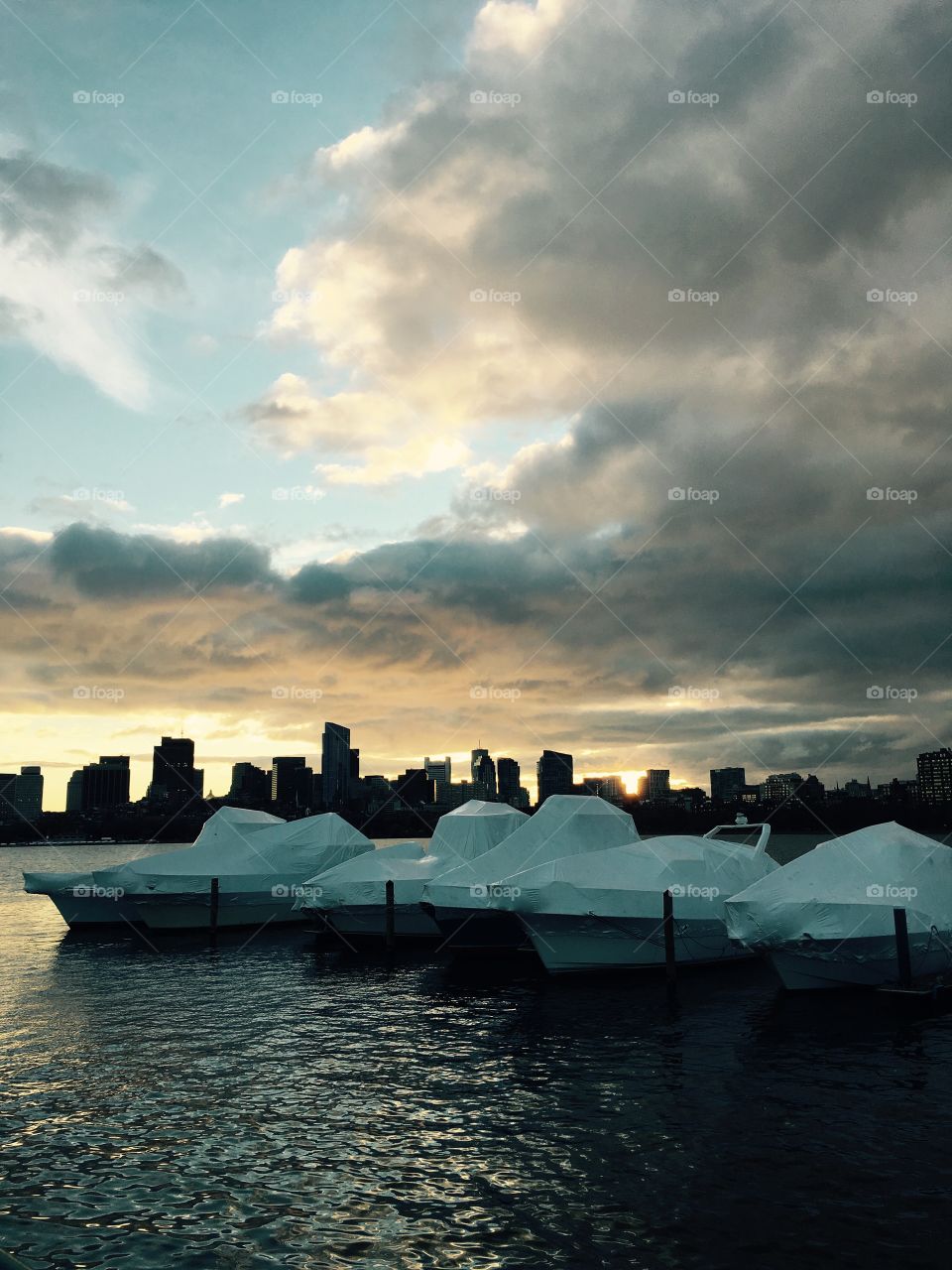 Waiting for spring II