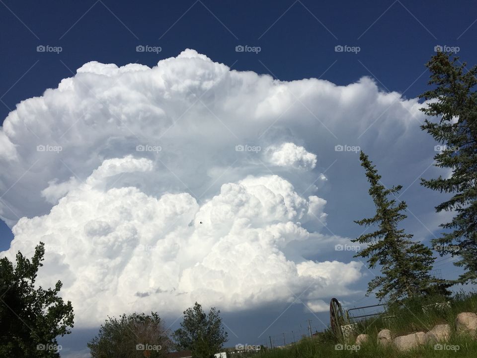 View of trees against sky cloud