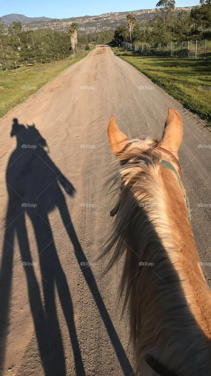 Shadow 