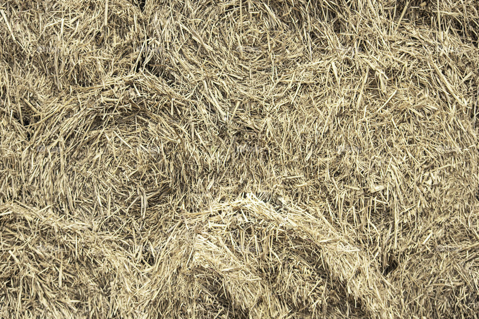 A pile of stacked straw Used as a background.