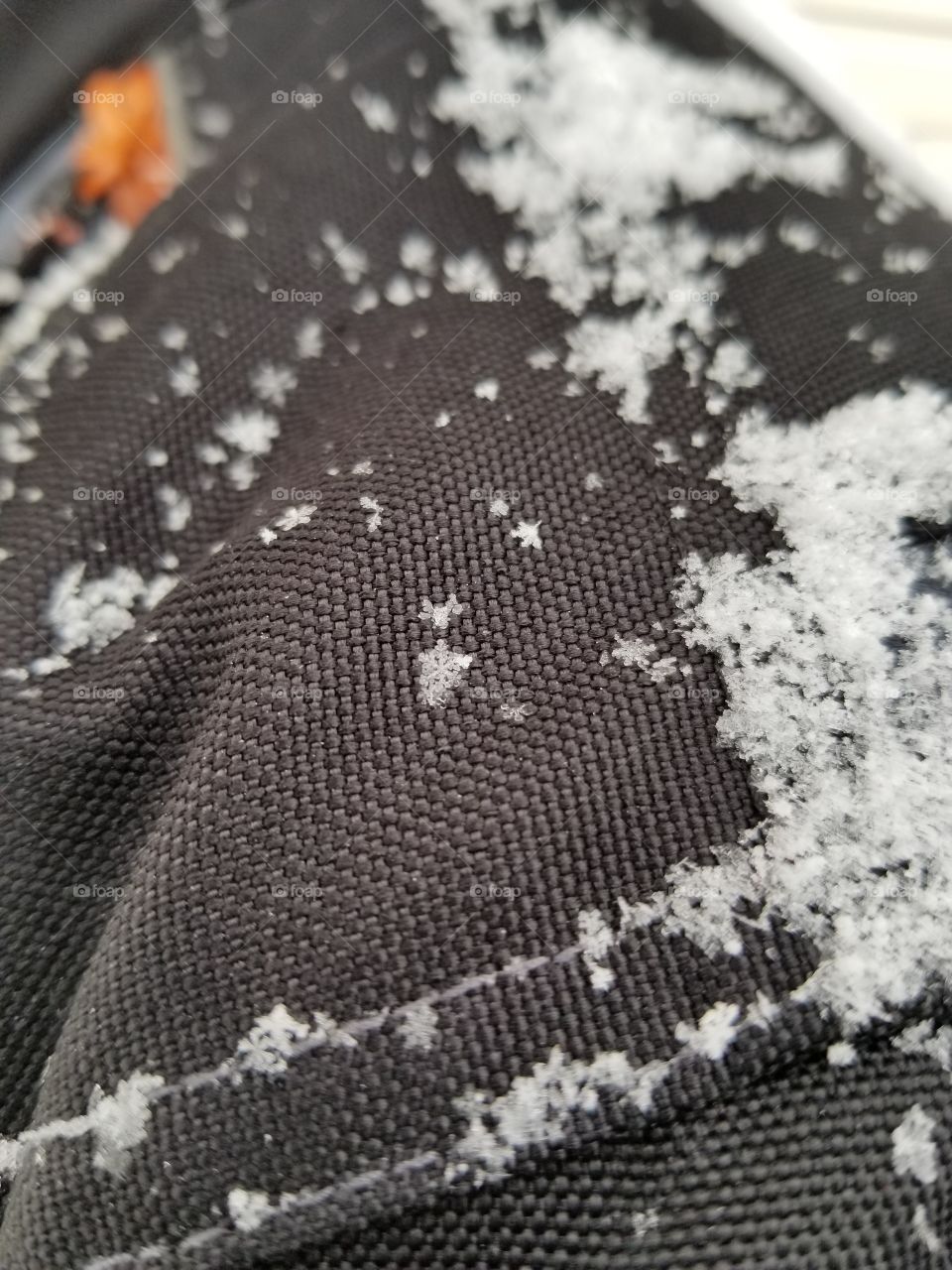 Leather Snow