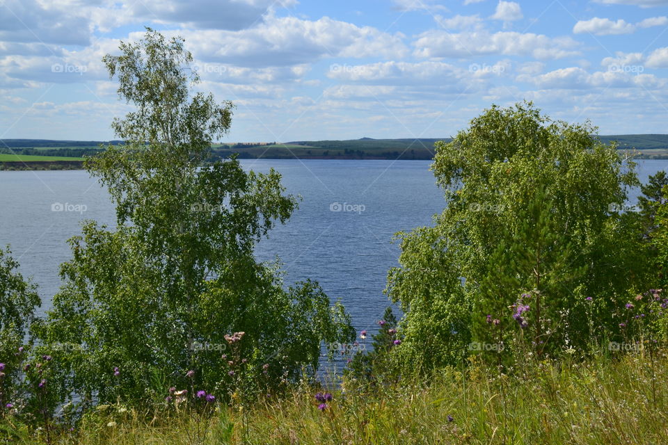 the nature of the river