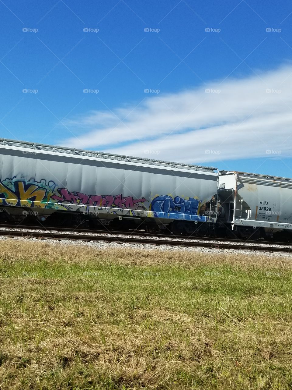 Graffiti on the Train