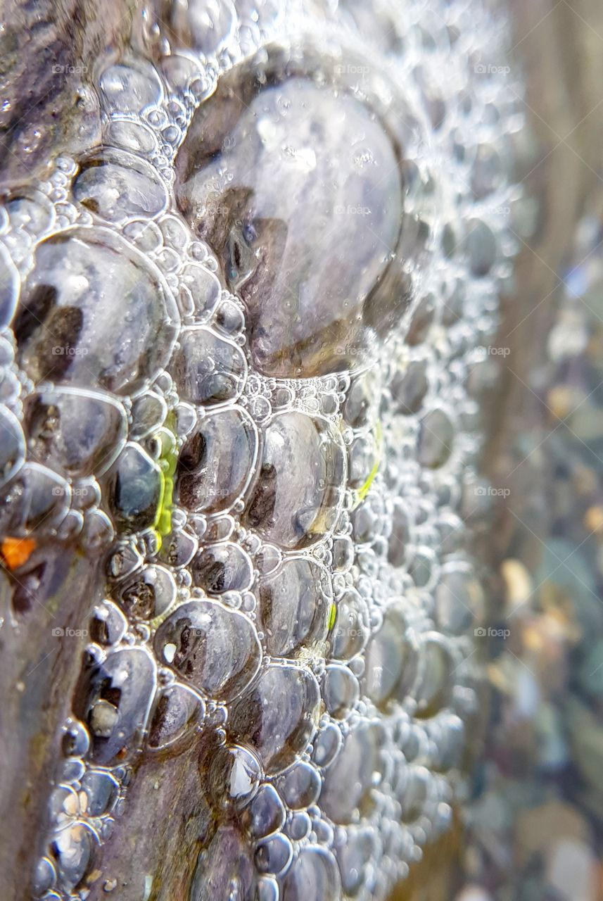 Seashore bubbles