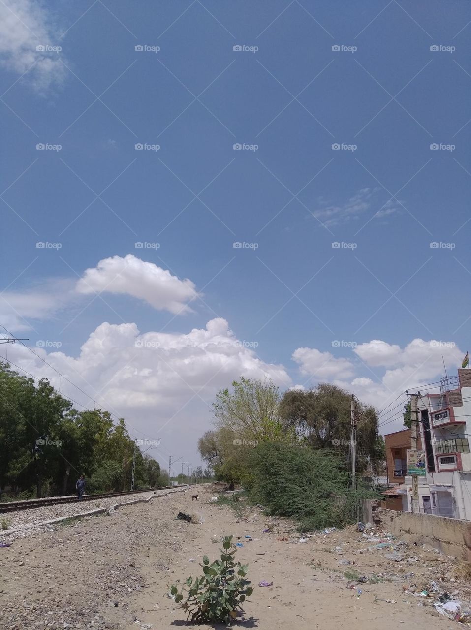 a shiney day white clouds in blue sky whitish cloud scattered green plant tree looks very beautiful