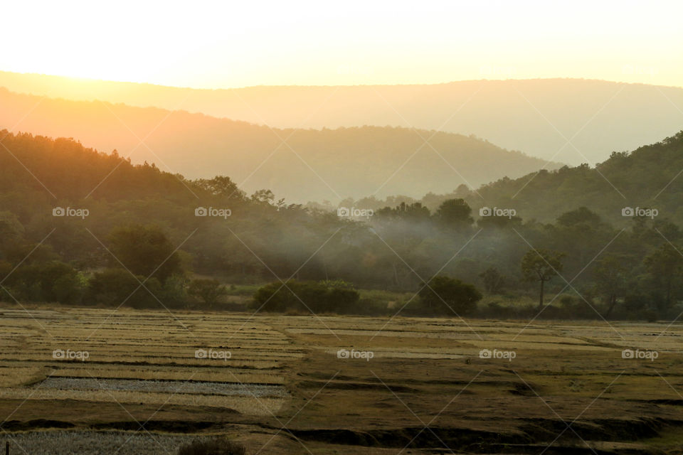 Scenic view of nature