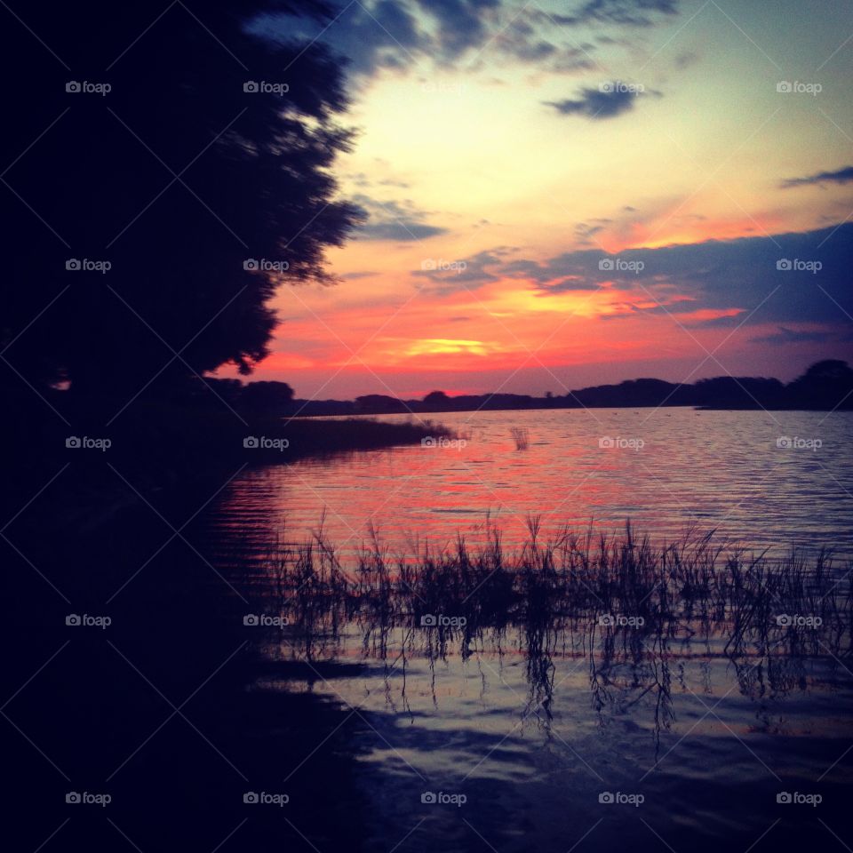 Florida Sunset. Florida Sunset on a lake