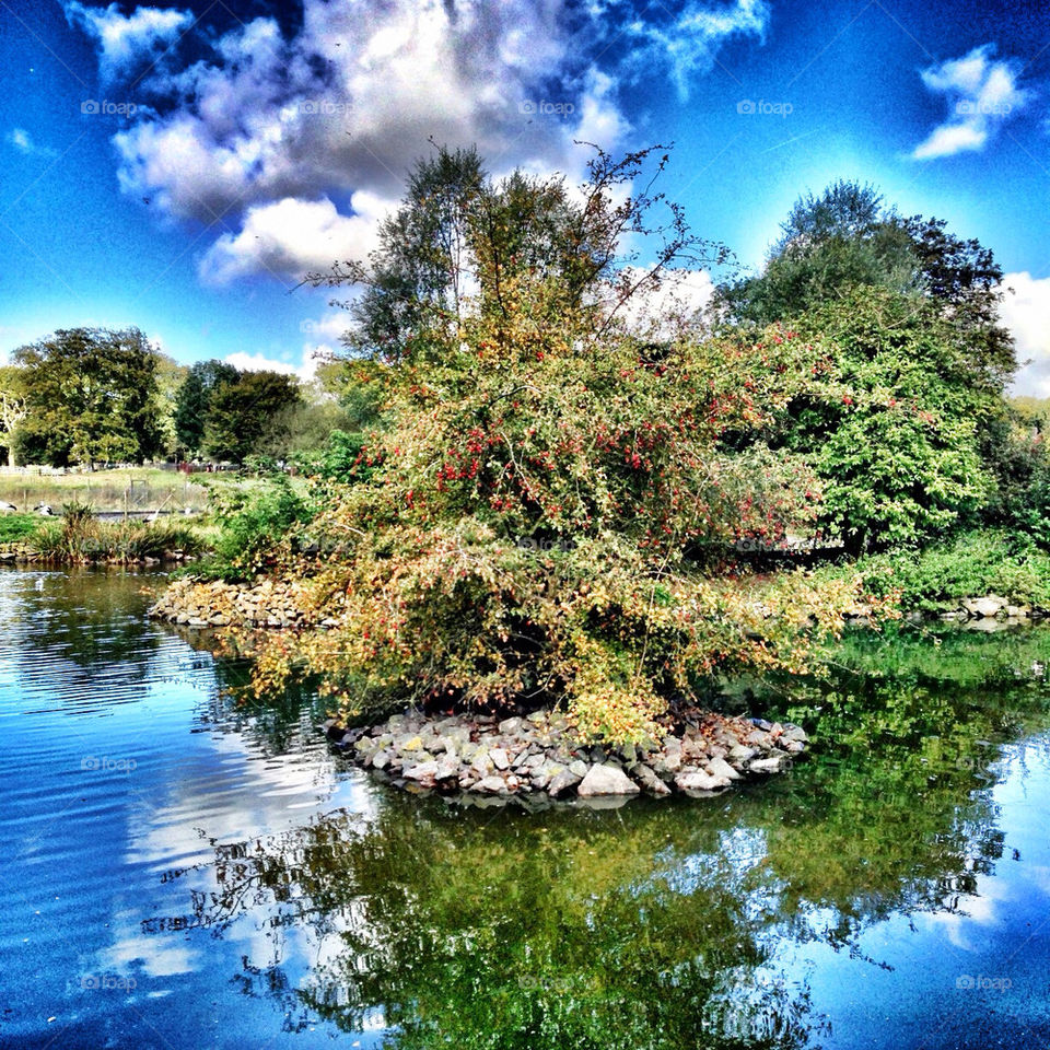 sky tree clouds water by craigyman