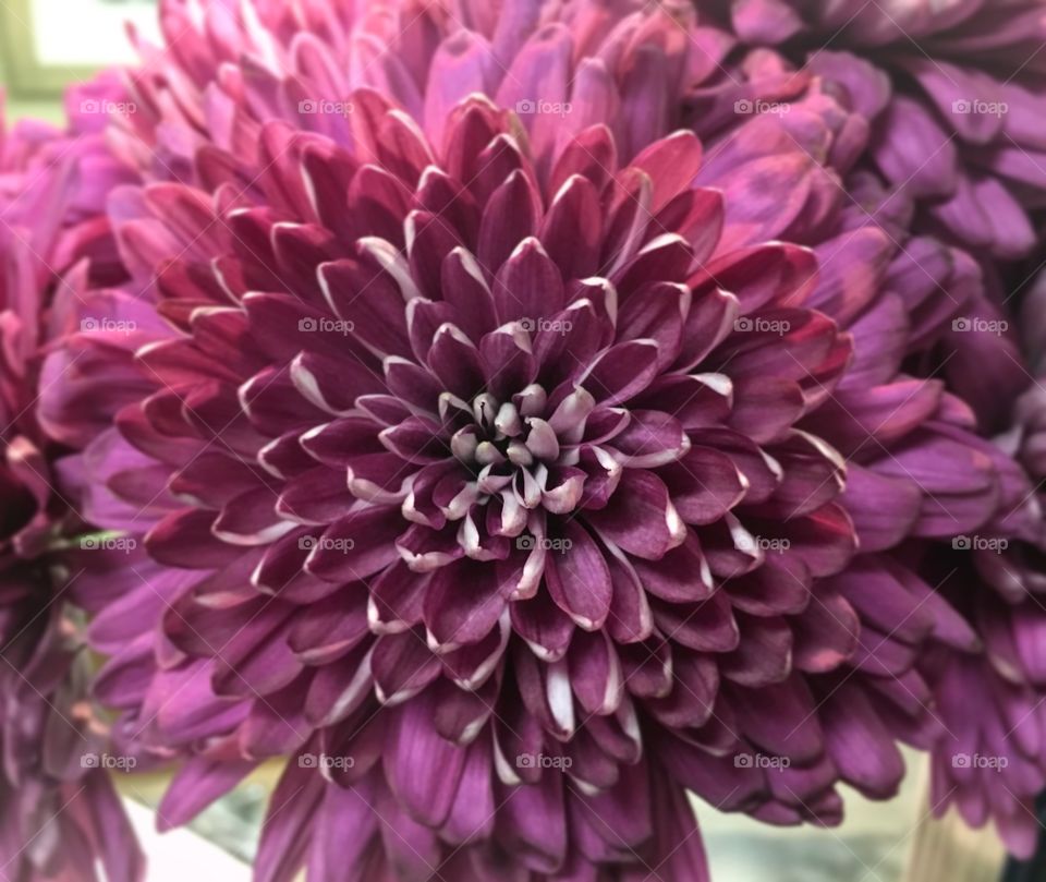 He creates beautiful things 