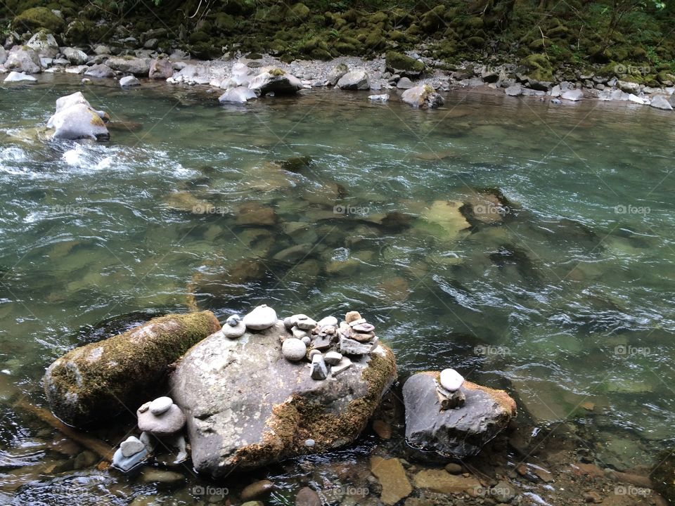 Rocks by a Stream in Forest Park Portland, Oregon. 