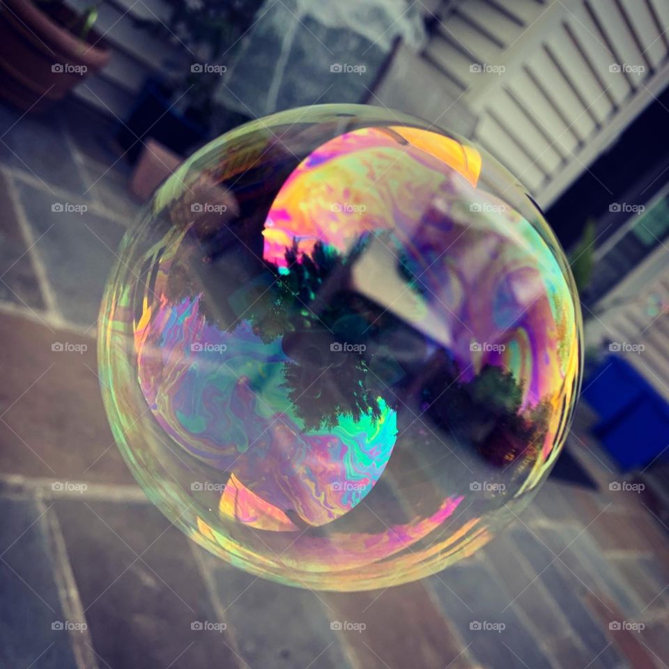 A beautiful soap bubble with the reflection of a mighty evergreen in it