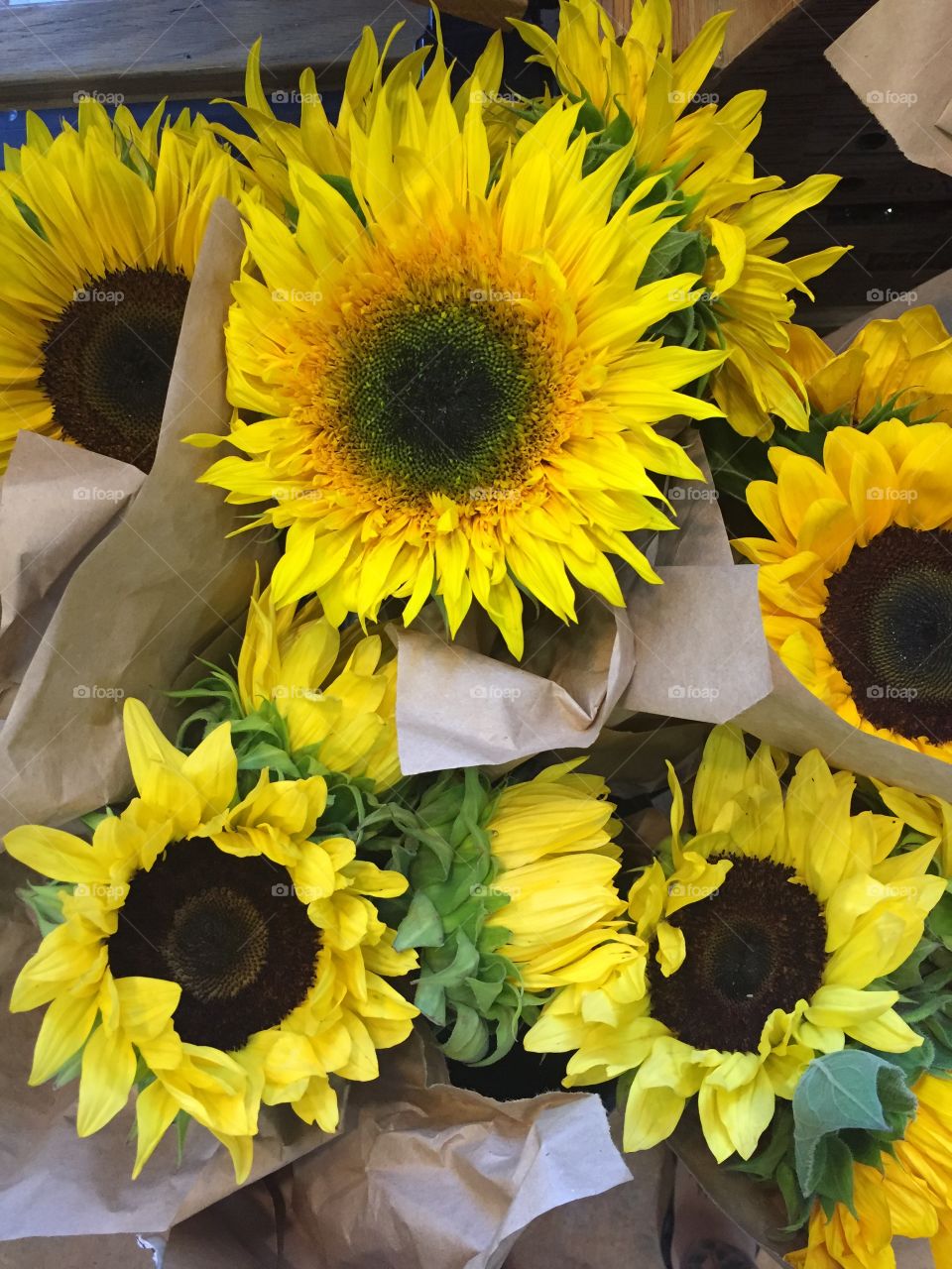 Flower, Nature, Flora, Leaf, Summer