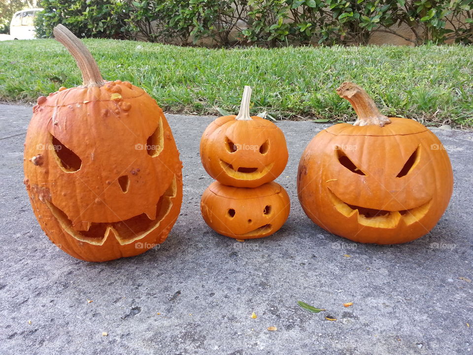 Pumpkin Faces . Halloween pumpkin carvings 
