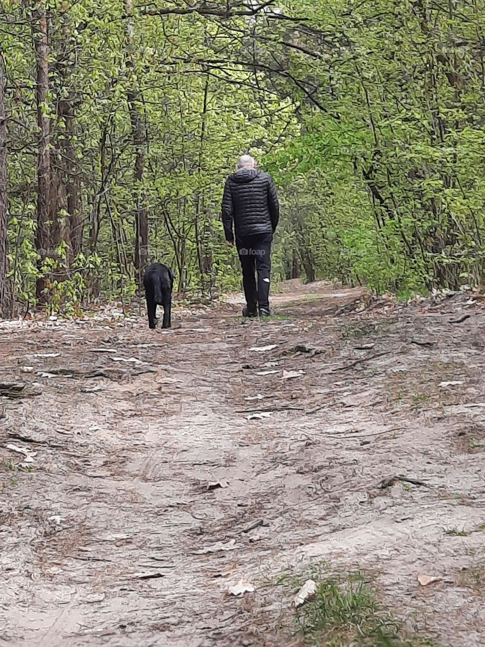 old man on walk with dog