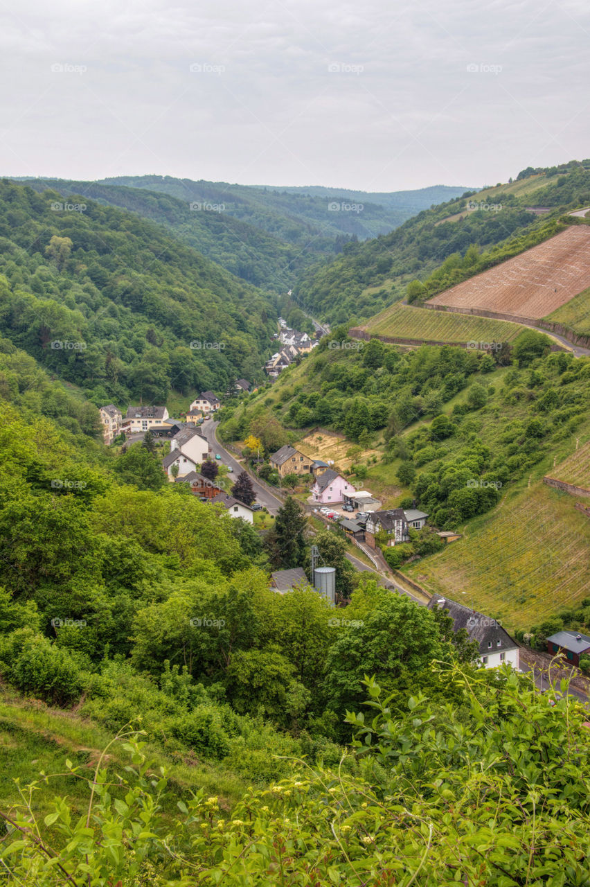 Rhine valley 