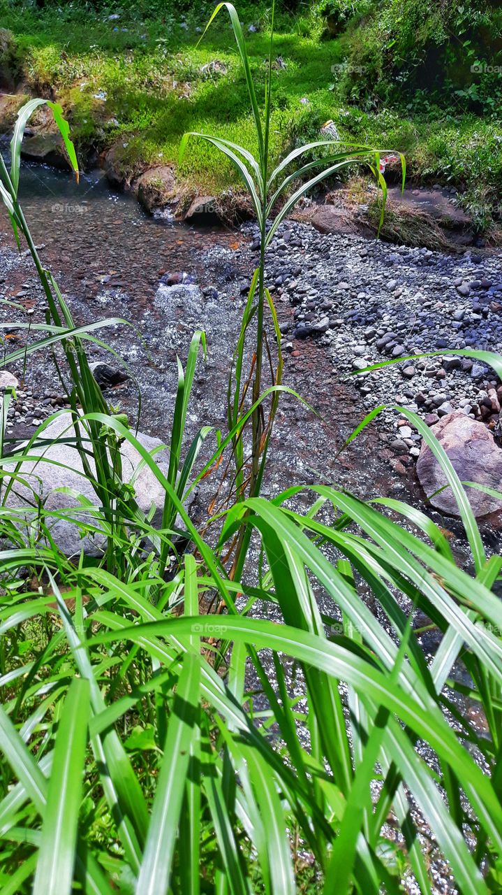 keep your surroundings