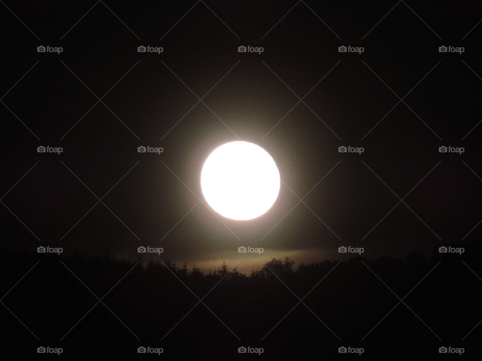 moonrise. over a Misty hillside