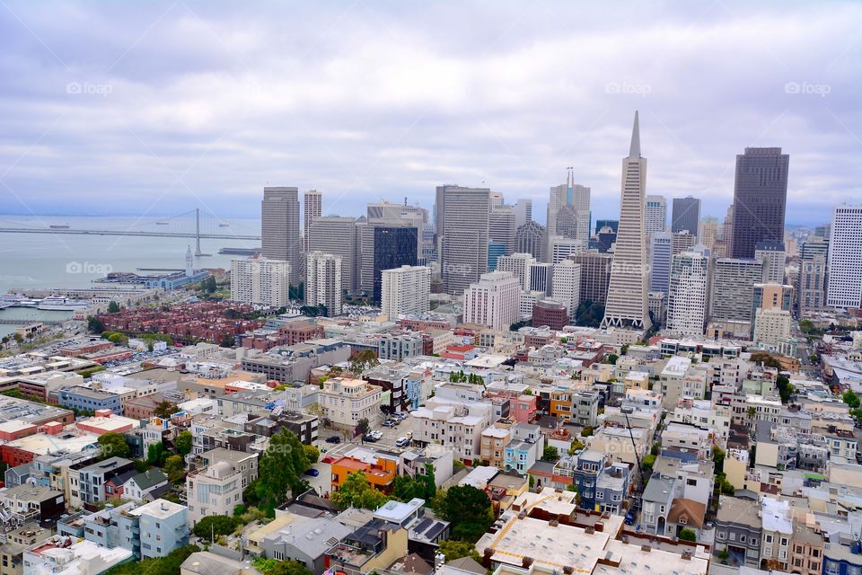 The city center of San Francisco as seen from Coit Tower