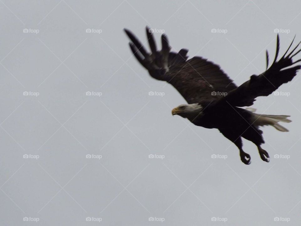 Enjoying the outdoors