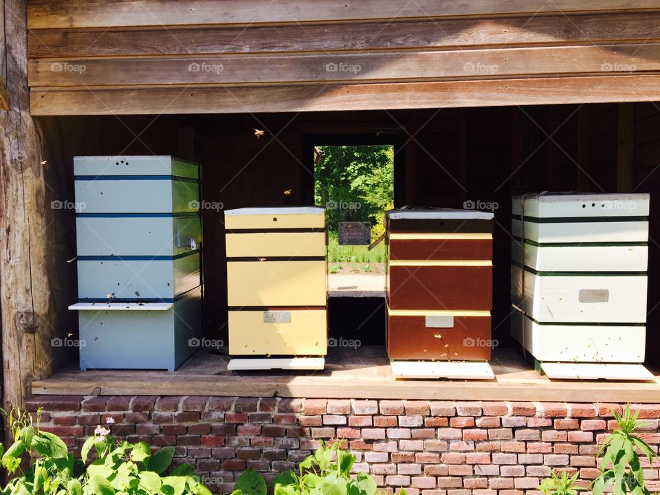 Four beehives