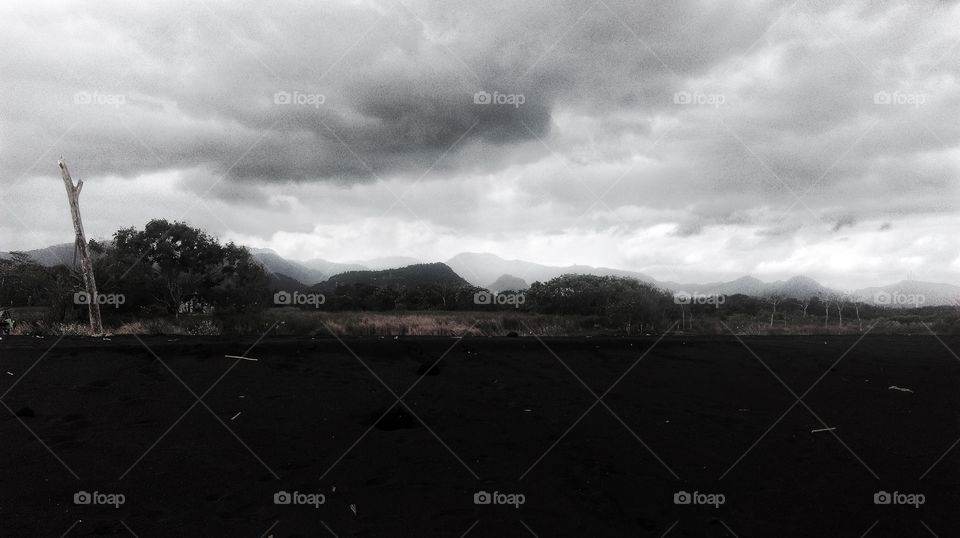 Meditation on nature and it’s circular...