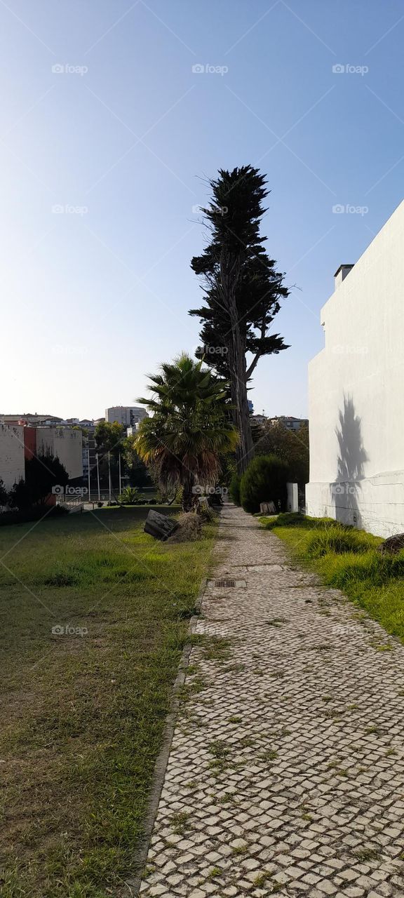 No corredores das artes